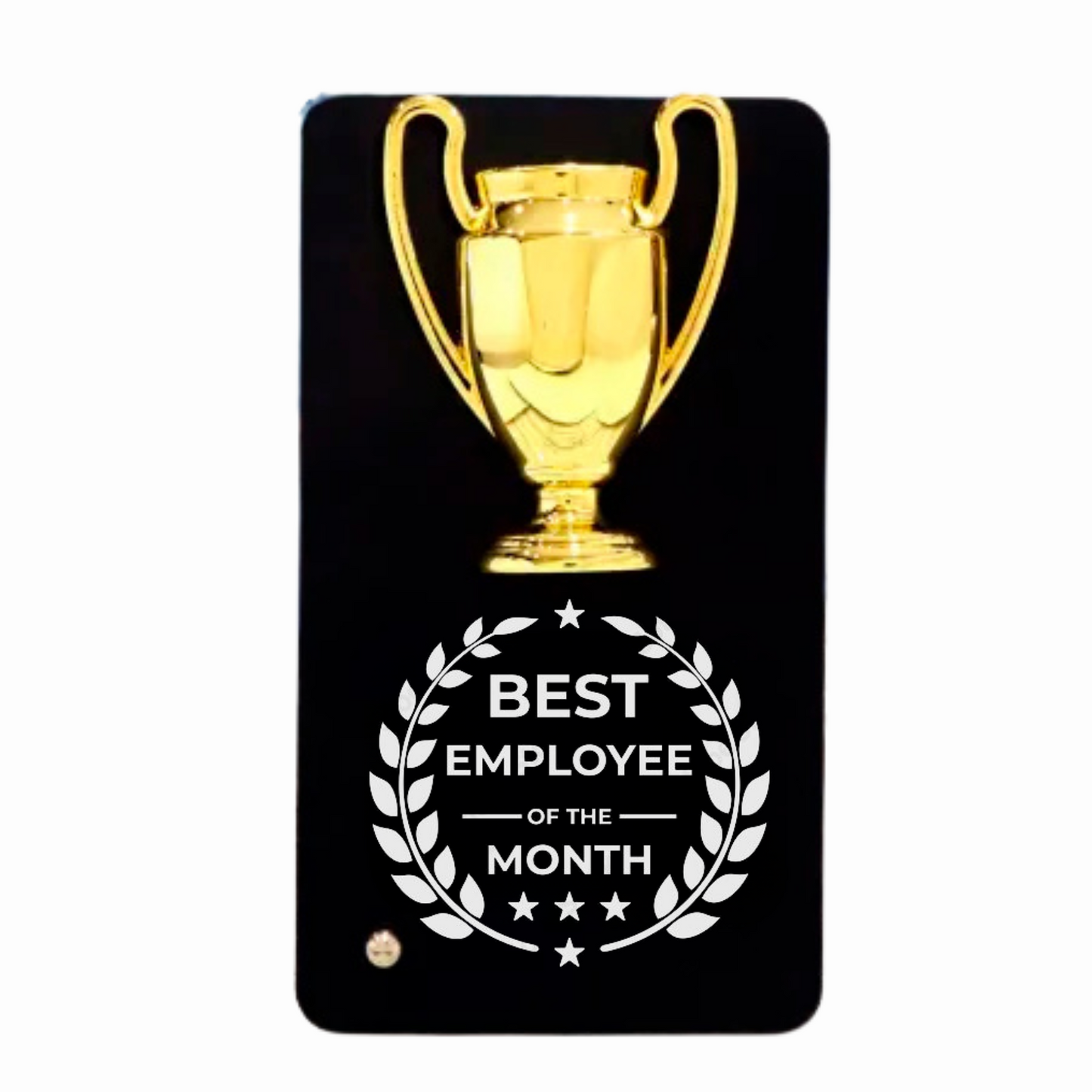 Metal Trophy Plaque, Best Employee of the Month Award, 16 cm x 9 cm, Black and Gold