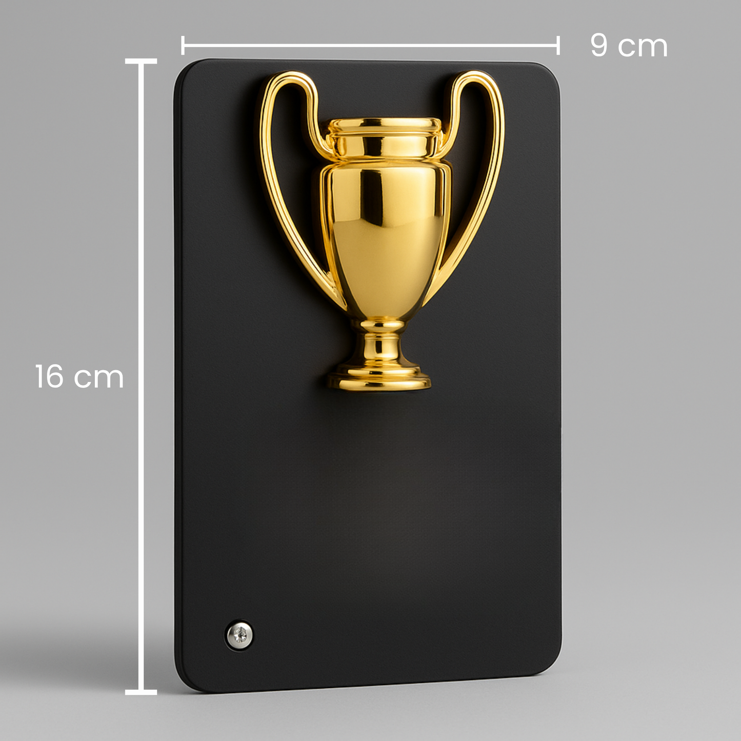 Best Dad Trophy Wall Plaque, Black Metal Card with Gold Trophy Design, 16 x 9 cm