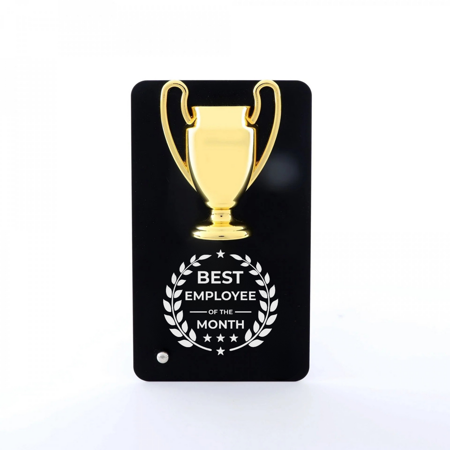 Metal Trophy Plaque, Best Employee of the Month Award, 16 cm x 9 cm, Black and Gold