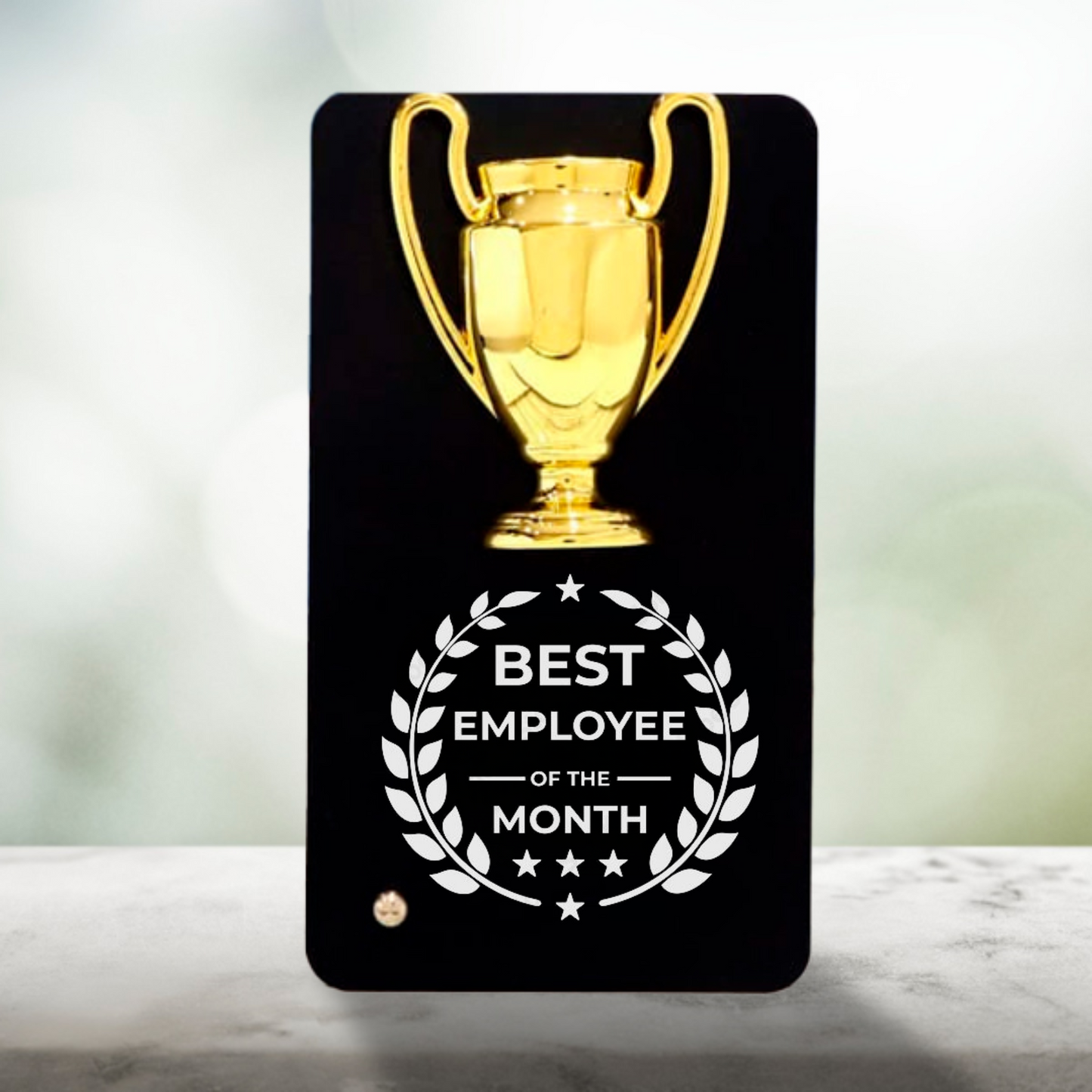 Metal Trophy Plaque, Best Employee of the Month Award, 16 cm x 9 cm, Black and Gold